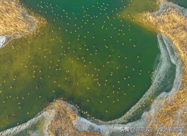 呼和浩特这6个宝藏地，开车直达，周末必冲！