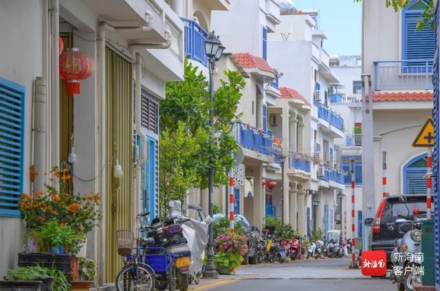 海南，好多“马”啊~