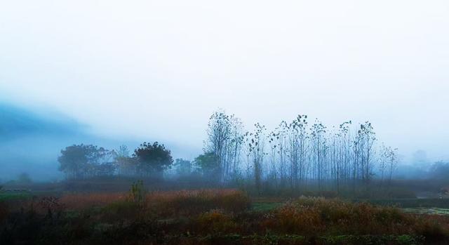晨雾翩跹入画来 赤壁黄狮畈冬景藏诗意