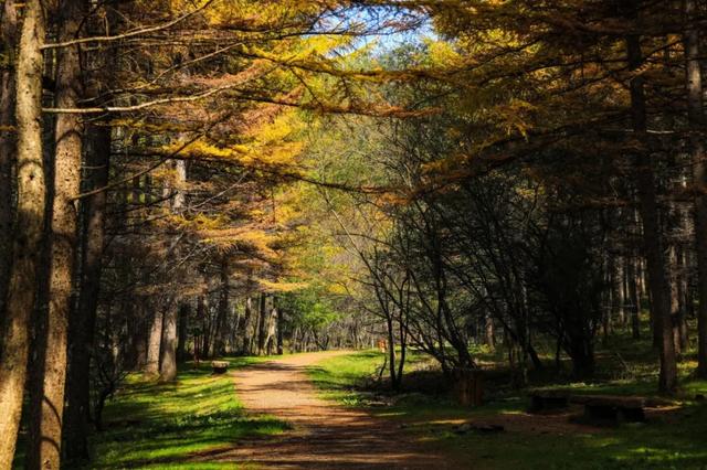 山野拾童趣!带娃来汉中这里,共享秋日亲子好时光~