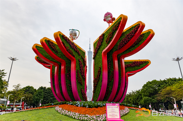 白天赏花、夜晚观灯、全天享赛，广州园博会来了！