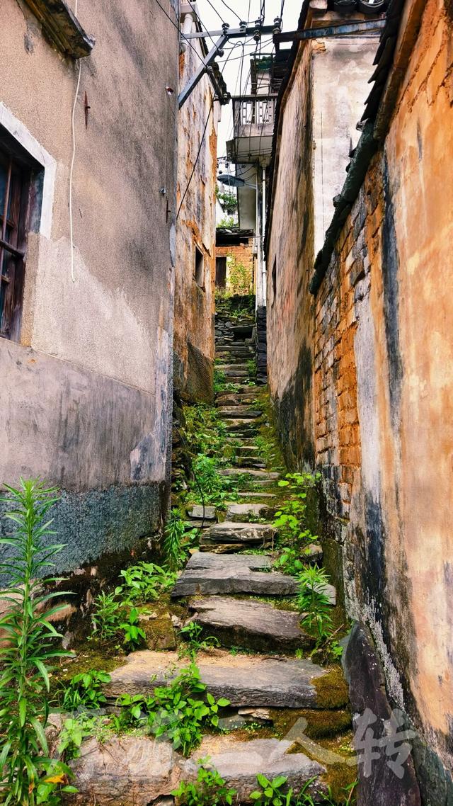 皖浙摩旅二人转——万二篇