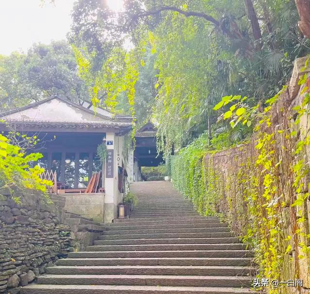 台州历史文化地标——中津浮桥