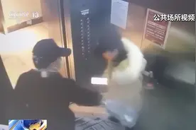 宠物犬咬伤人后人又踢了狗，究竟该谁来担责？图片