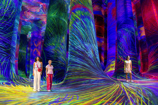 全家人的春节假期，一个阿布扎比就够了