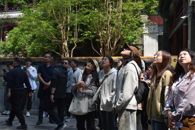 北京工商大学MBA潭柘寺实践调研之旅圆满收官