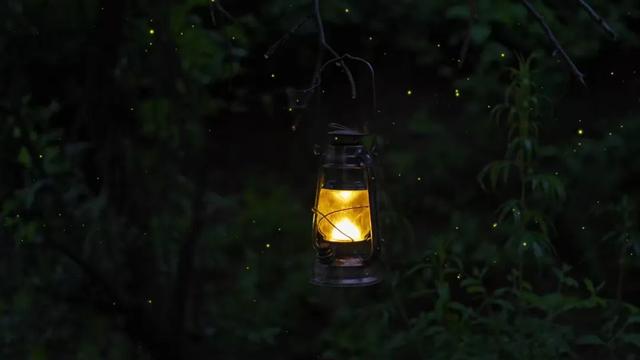 免票！成都吃饭2H直达21℃云端秘境，避暑耍真雪！观山水云海风光，赏神秘民俗风情！