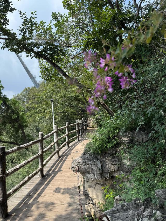 云岭漫步云台山