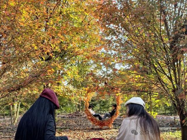 绝美！快来崇州收藏这份限定秋色