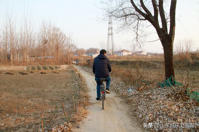 这一次外出闲游感慨颇多