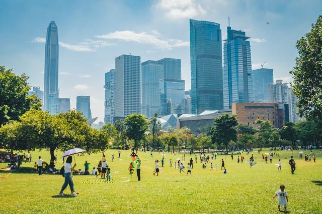 【深圳人私藏的“桃花源”被我曝光了】莲花山公园遛娃赏花全攻略