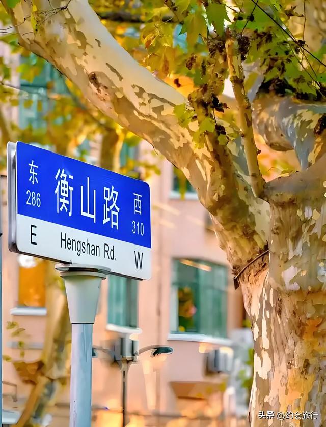 为啥上海人不爱逛城隍庙？是风景不够美？还是东西价格过高？
