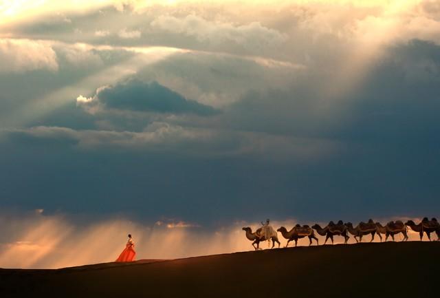 西安月照天山雪