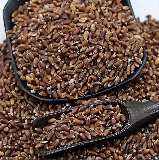 央媒通报！又一间谍行为曝光，作案手法阴险，粮食安全受威胁