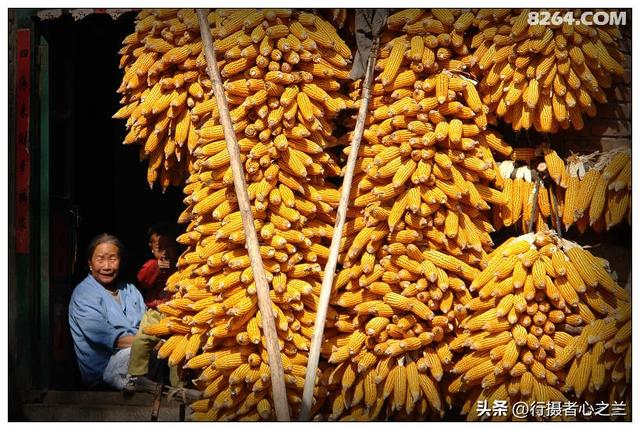 山东行游影记（194）—青州仰天山柿子沟（二）