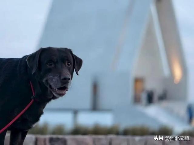 消费潜能激发：北戴河新区小众经济成增长引擎