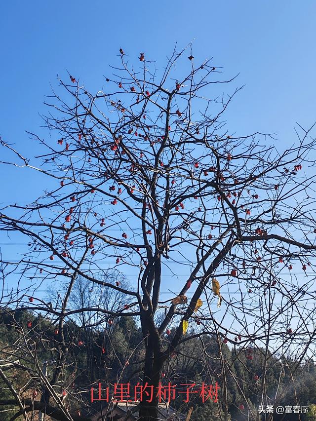西安周边藏不住，浅山暖阳等你来晒！