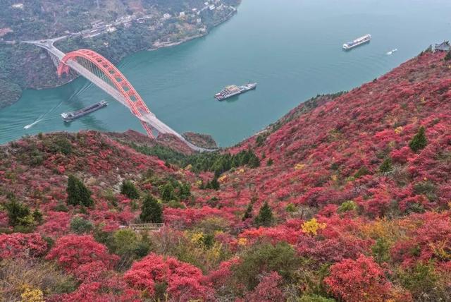 图游天下|去哪儿玩？高清组图，晒出打卡好地