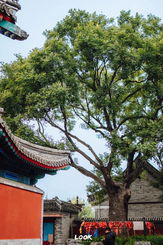 通州，原来这么好玩