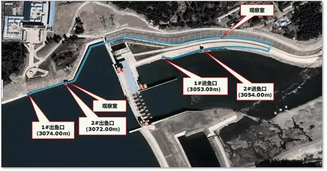 美国大坝在轰然倒塌，而中国大坝却在拔地而起?藏着什么秘密？