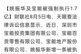 姚振华及宝能为何被多次强制执行？图片