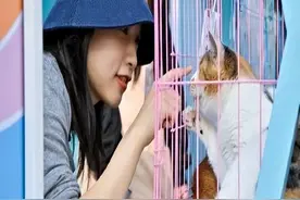 为“流浪毛孩”找到温暖的家！叠纸萌宠领养活动首站举行图片
