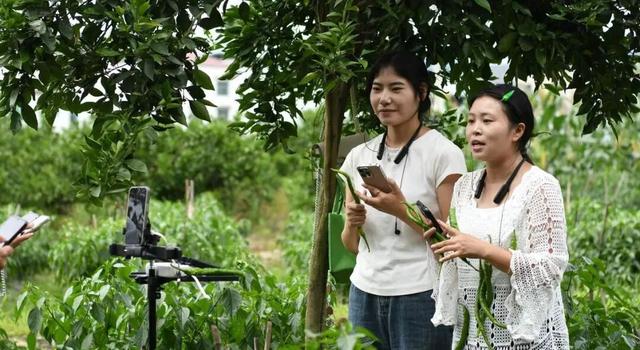 悦遵义・享暖冬 | 倒计时5天，2025贵州斗舞会年终盛典重磅来袭！！！