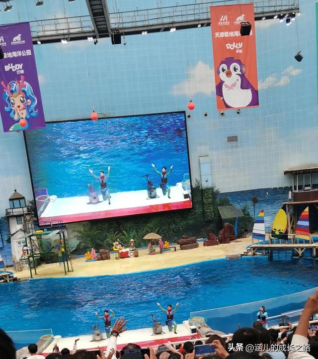 最新天津极地海洋馆一日游攻略——亲测实用!所有演出都可看完!