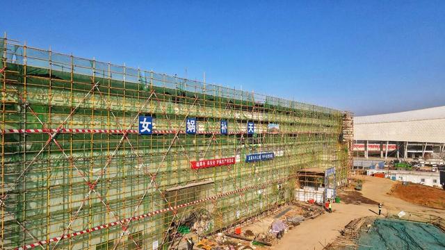 上新！好美！洛阳新晋网红打卡地+1+1+1