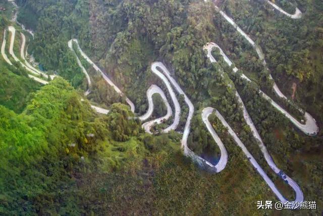 镜头中的山水：寻梦张家界 醉心山水间