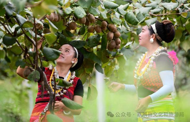 「辉煌60年·新时代西藏答卷」绝美！西藏小江南的秋色天花板，美到窒息！