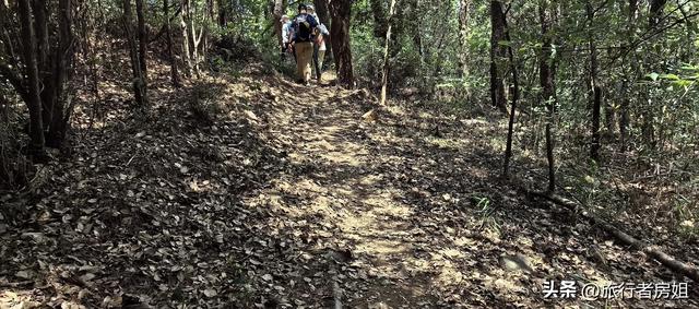 太意外了，原来从旺山风景区到上方山国家森林公园是如此的近
