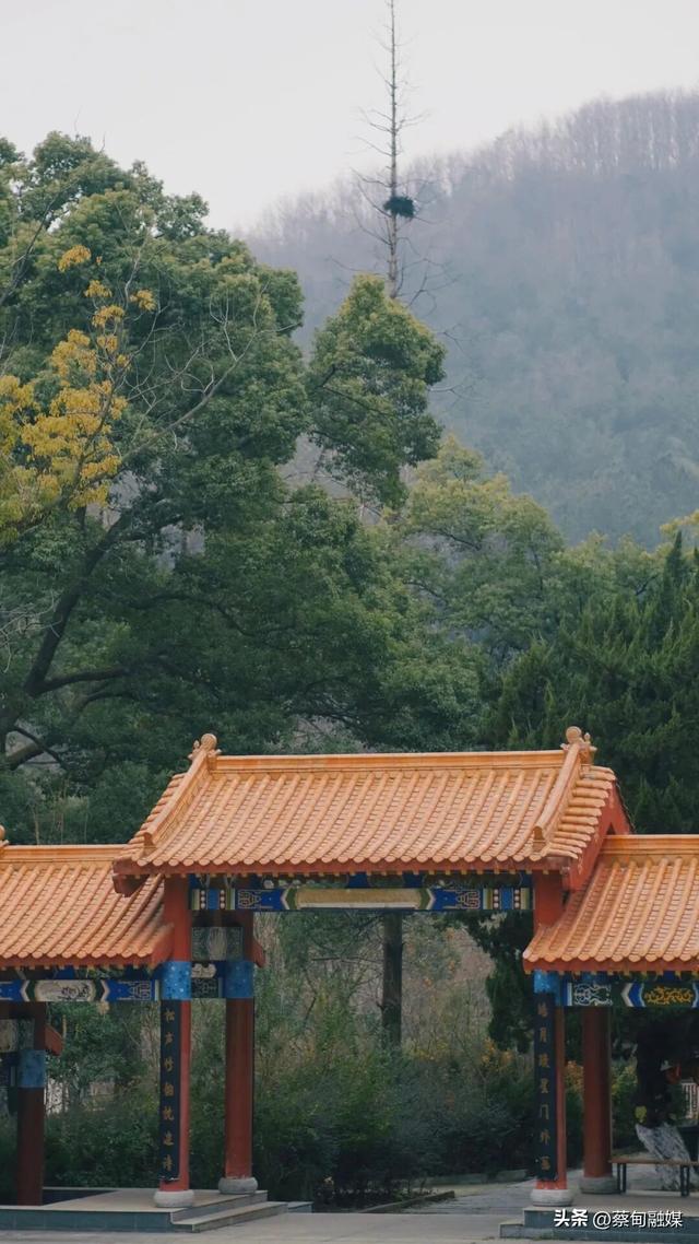 别宅在家啦！蔡甸这两座爬山圣地，吹散 “班味儿” 超治愈～