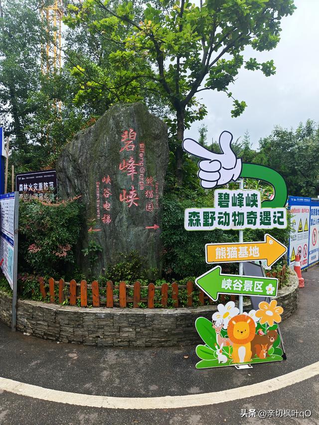 四川雅安雨城区：历史文化名镇上里，大熊猫基地碧峰峡