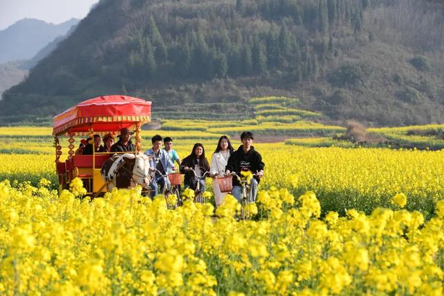 全国第六！罗平再次荣登全国县域文旅融合发展潜力百强榜
