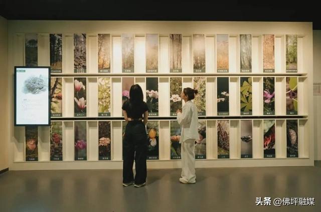 🥕解锁“疯狂动物城”佛坪分城🦊