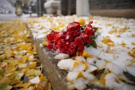 急转提醒！沈阳这批身份证即将到期！图片