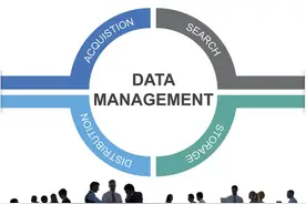 关于调整学校管理机构设置及干部分工安排的决定图片