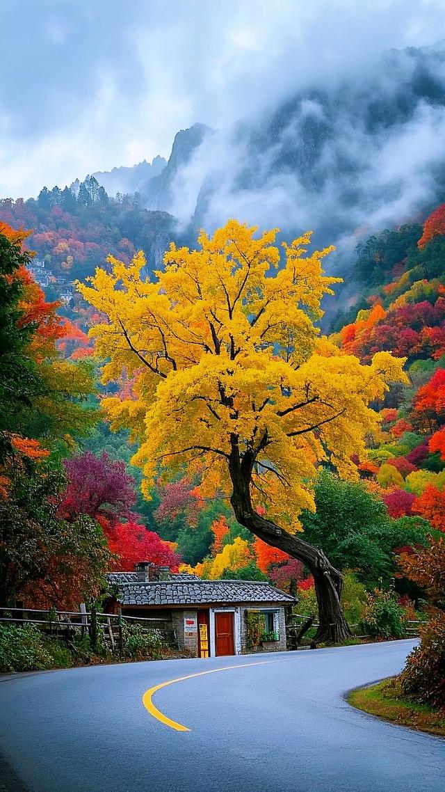 秋意浓时，山河变色，情到深处，层林尽染。治愈系秋天美景