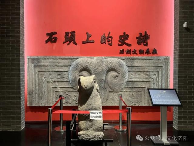 免费开放！济阳区博物馆参观全攻略，周末遛娃好去处！