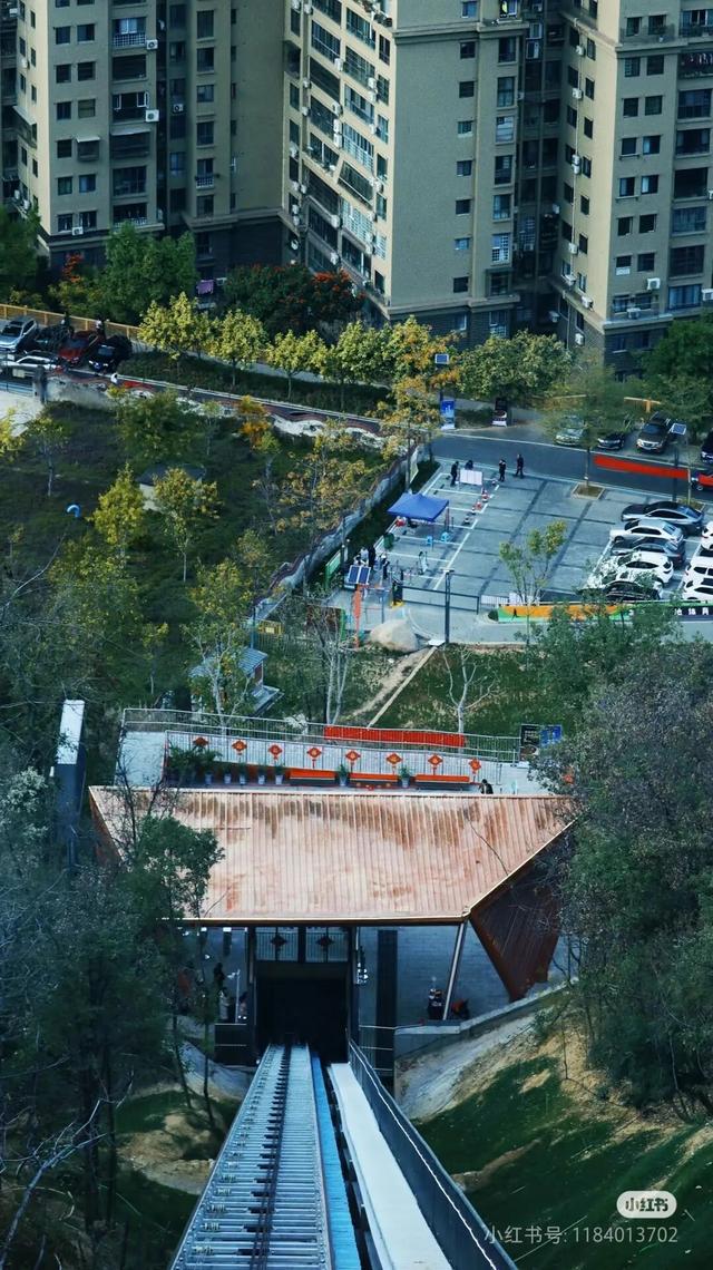 美疯了！高铁直达“四川小三亚”，花海开爆！草莓按盆吃，烧烤香迷糊！