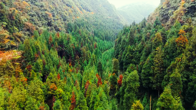 去邛崃！赴一场暖阳与山间的私语