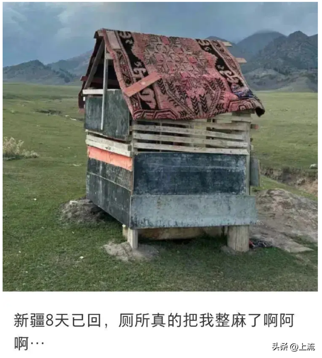 盼十一假期的打工人，都在熬夜钻研这份厕评红黑榜
