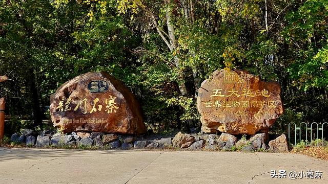 2025我的寻秋之旅D10-11 嫩江—五大连池