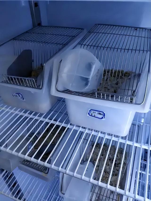 神舟二十一号成功发射！美国封锁失败，中国2030年前实现载人登月