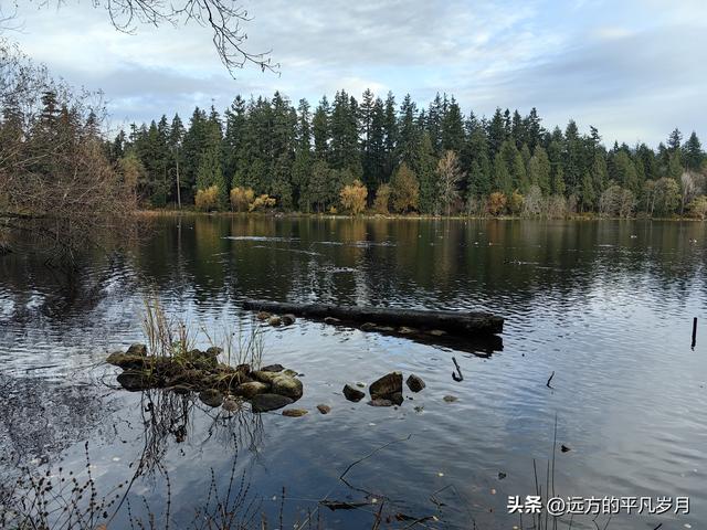 温哥华游记（一）