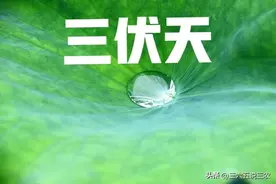 25年三伏天时间表来了！哪天入伏？多少天？伏天热不热？早了解图片