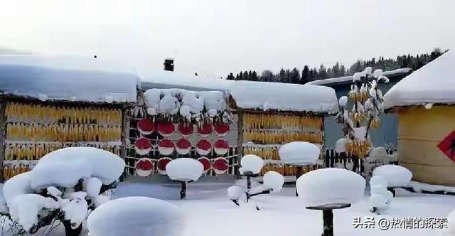 五九和腊八竟是同一天！老祖宗的话藏玄机，2026春节天气已定？