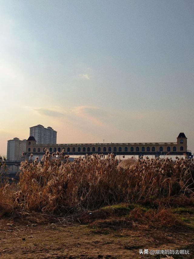 公交直达冬日限定“小东非”，带娃解锁长沙safari隐藏玩法！