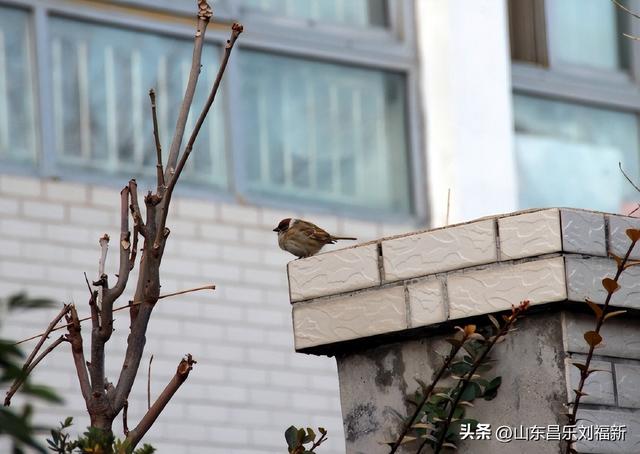 小区1号楼停电·徒步下楼·逛一圈的趣事